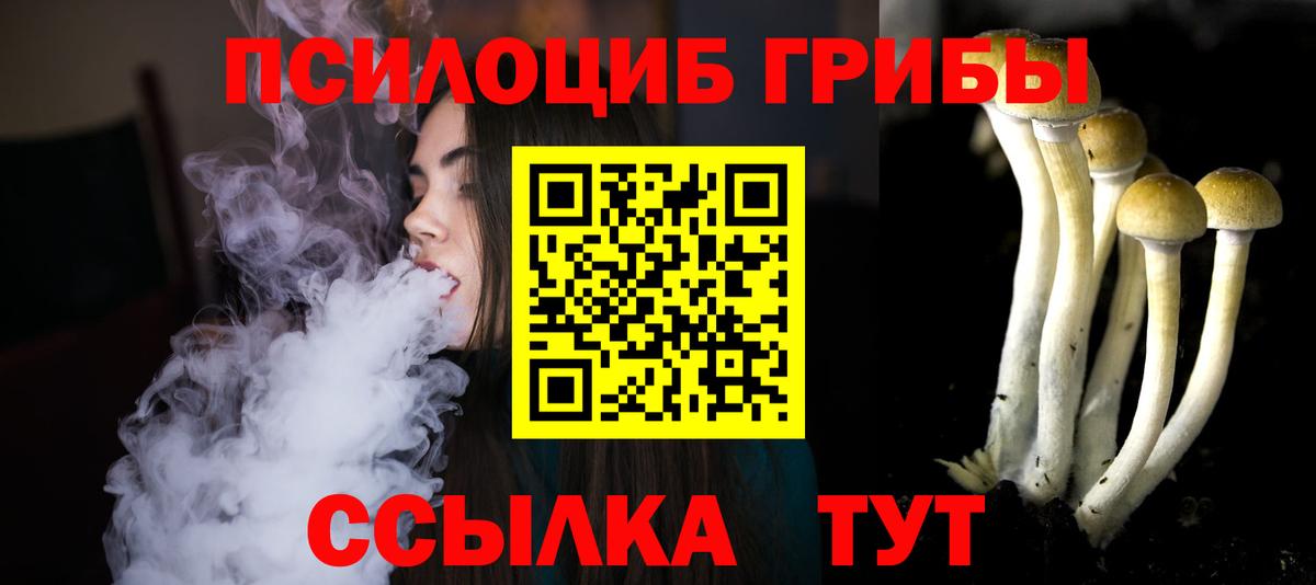 Псилоцибиновые грибы Cubensis Зима